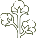 cotton icon